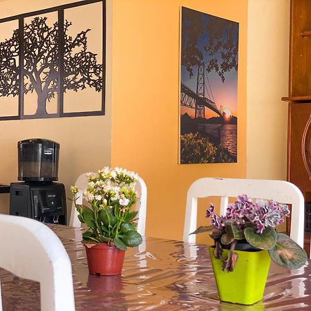 Picco Da Ilha Hostel Florianópolis المظهر الخارجي الصورة